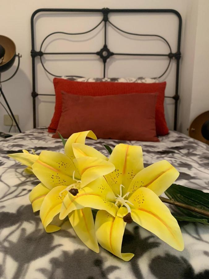 Dream Central Plaza Apartman Santa Cruz de Tenerife Kültér fotó